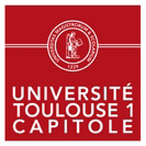 logo Université toulouse capitole